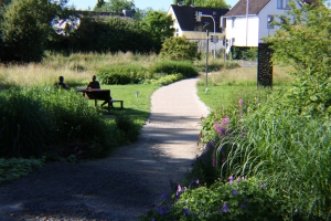 Park